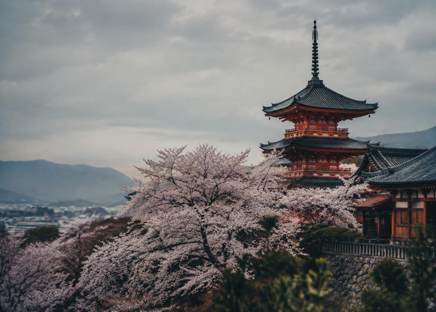 Kyoto pagoda framed by cherry blossom under a soft grey sky